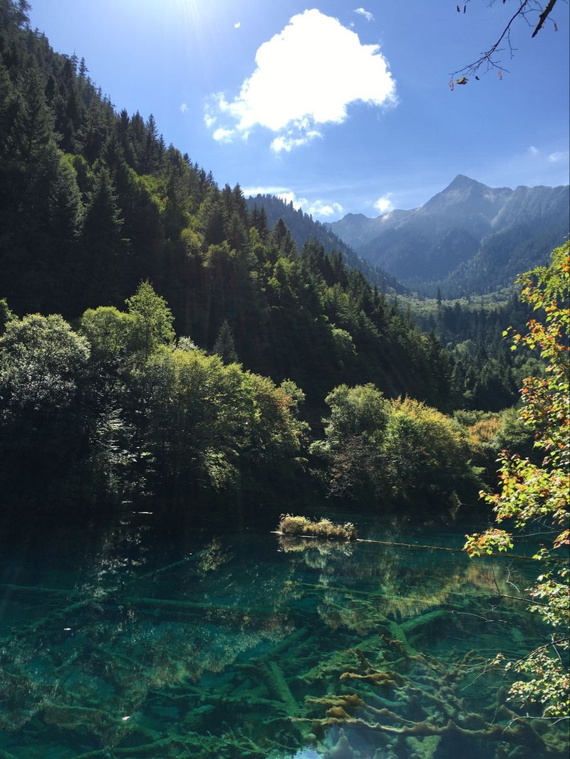 四川九寨沟旅游团报价,四川九寨沟门票多少钱