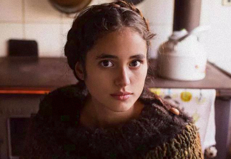 智利国家的七大冷知识,冷知识智利每年从中国进口樱桃