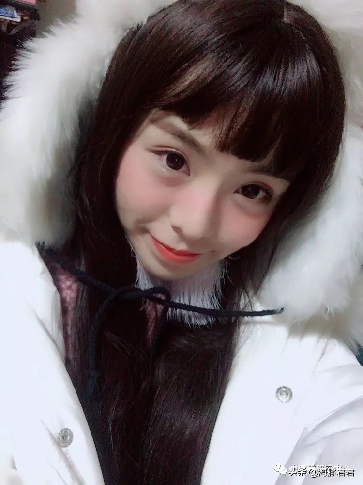 北京小公主靠吸猫血成百万大V，直播整容、大照骗、2年养死3只猫