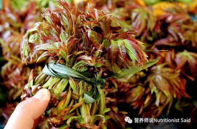 生吃野香椿芽的营养价值,香椿芽炒鸡蛋对人体有什么营养