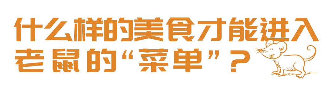 老鼠爱吃奶酪是真的吗,老鼠真的吃奶酪吗