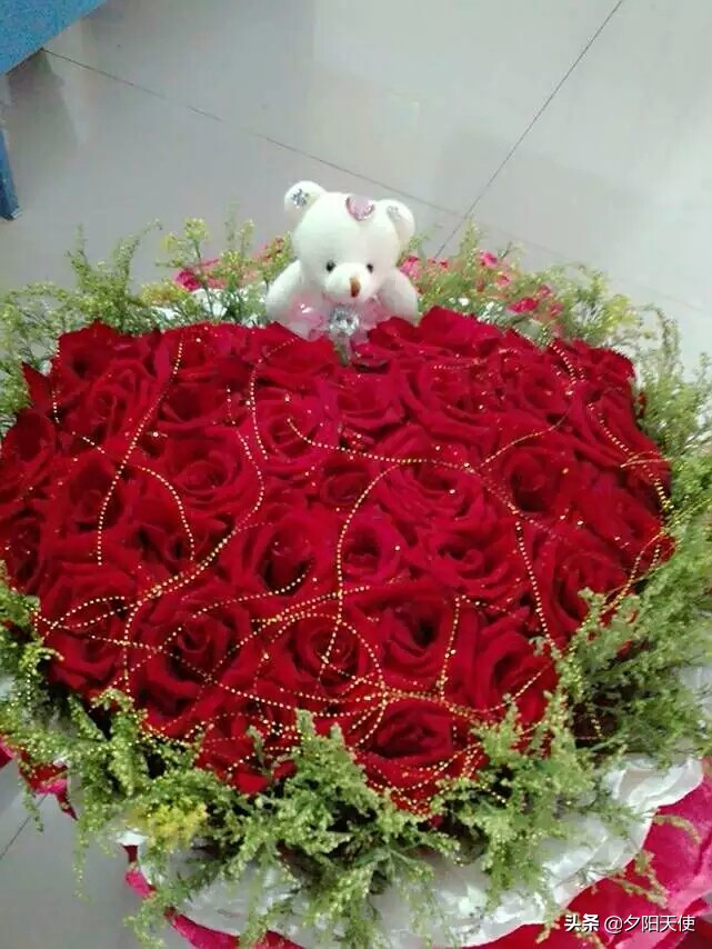 秋海棠花的花语和寓意是什么,倒挂金钟花的花语的寓意