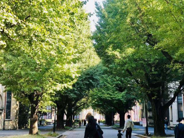 东京到镰仓和箱根攻略,东京箱根富士山镰仓