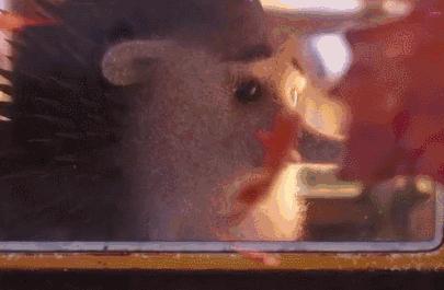 12岁男孩独自为亡父开销户证明,15岁少年为父亲开死亡证明