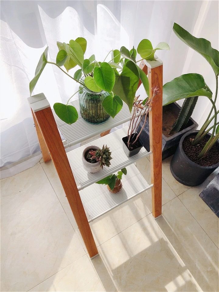 必买的超实用家居用品,6款实用省心家居用品推荐