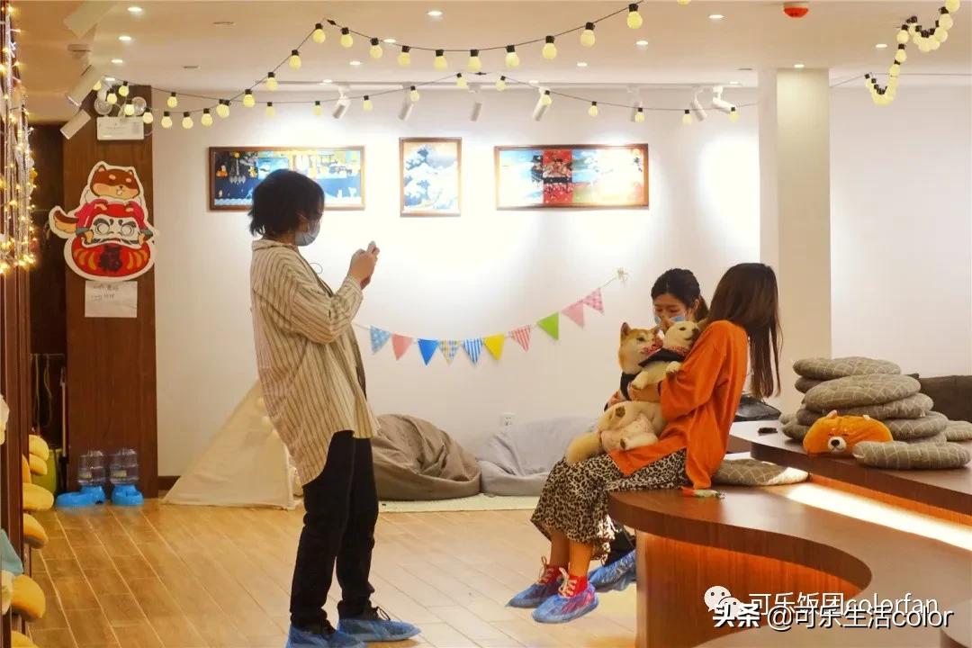 撸柴宠物乐园,广州番禺撸狗圣地