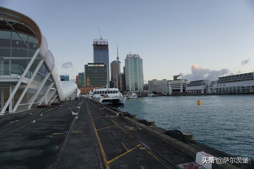 「萨堡儿」初识奥克兰-------新西兰记行之一