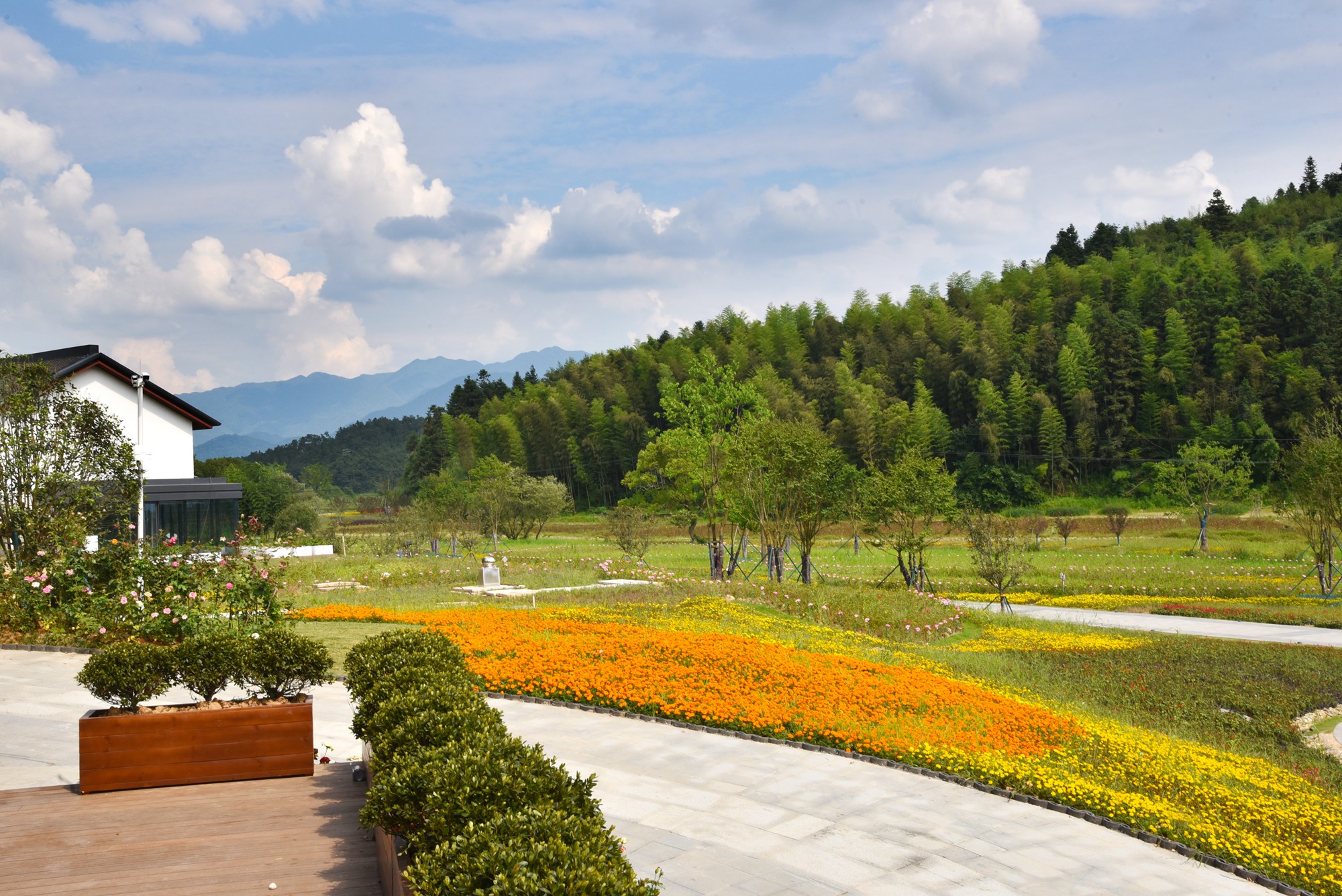 景德镇近代瓷器发展,千年瓷都景德镇有哪些瓷器