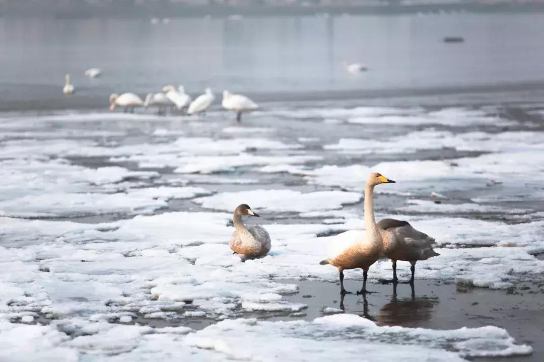 这才是一二月最值得去的13个旅行地，千万别去错了