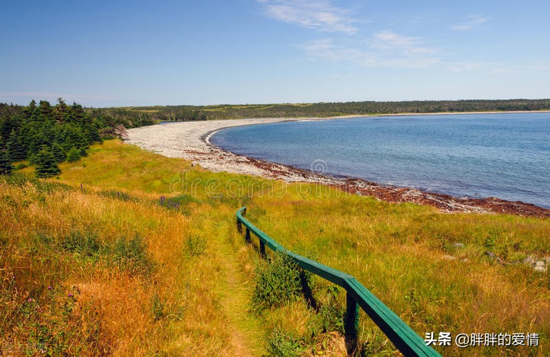 耐得住寂寞才守得住繁华经典句子,来是偶尔去是必然且行且珍惜
