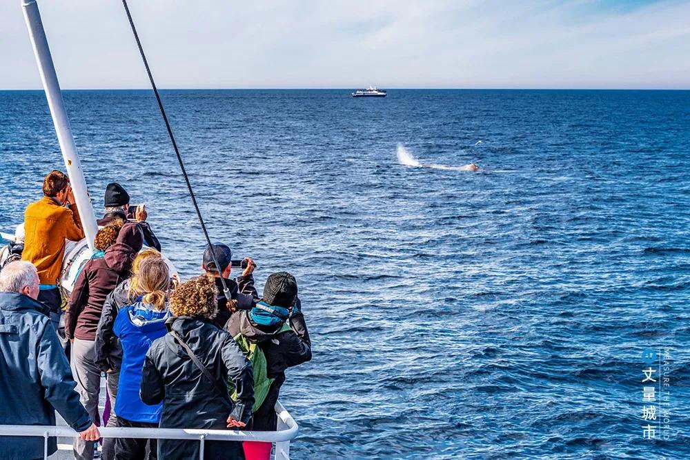 维京遇到全域旅游，美丽乡村、特点小镇一网打尽：挪威渔业史漫步