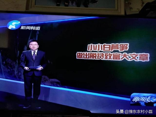 农产品白芦笋,被称之为蔬菜之王的白芦笋