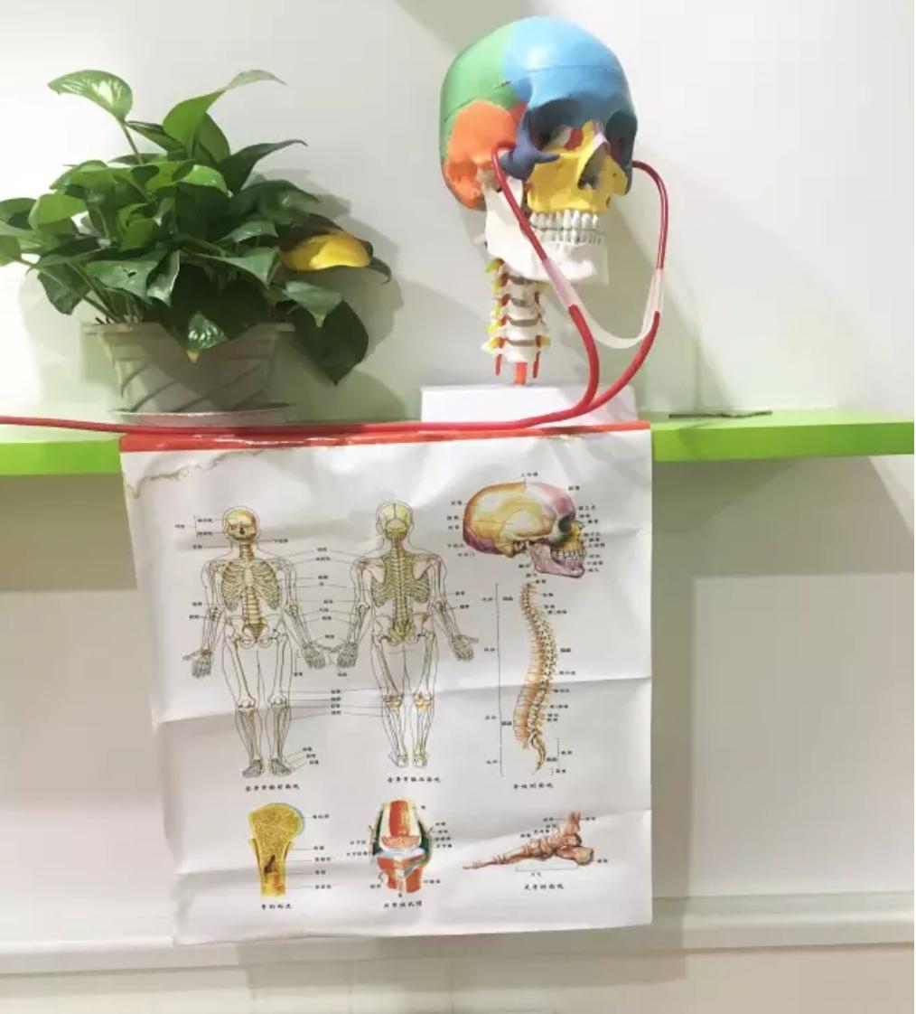 郑州普林斯顿幼儿园,郑州生态科技幼儿园