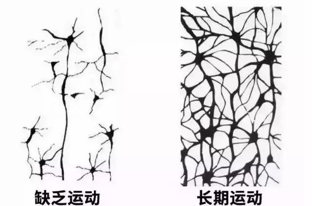 孩子学不进去啥也不懂怎么办呢,孩子学习差想学也学不成