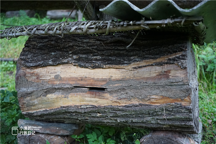 深藏在秦岭中的山水秘境,秦岭山中藏了一个世外桃源