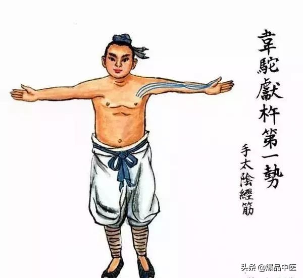 十二经筋连接动态图,十二经筋的图解