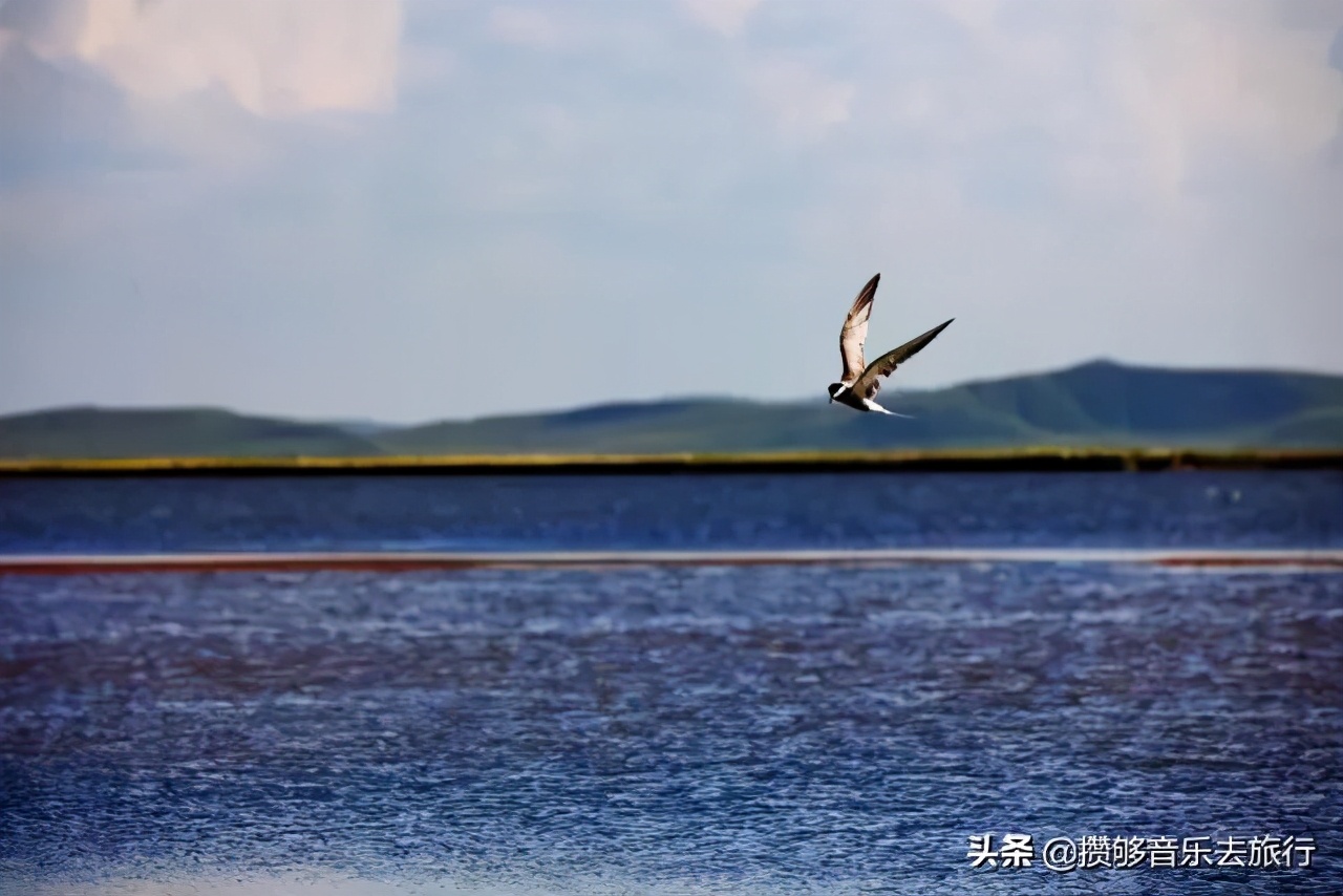 甘孜欢迎您,四川甘孜州欢迎您