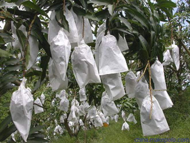 濂楄鐭虫Υ,鐭虫Υ濂楄鍜屼笉濂楄鐨勫ソ澶勪笌缂虹偣