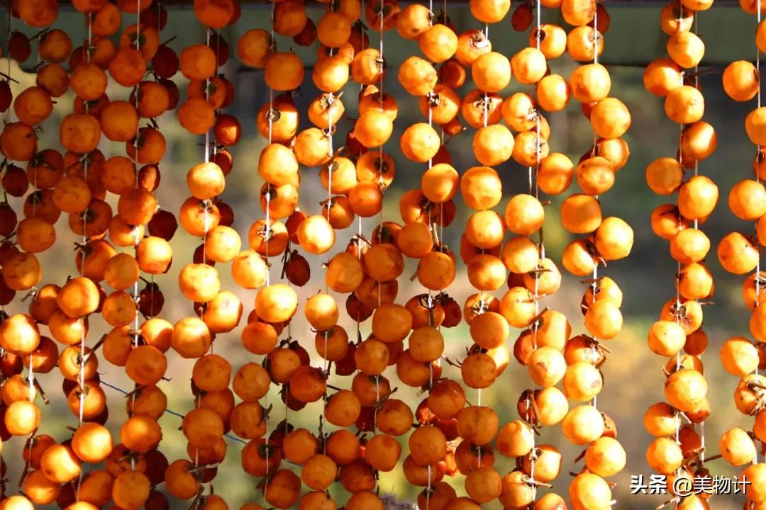 柿子红了人像摄影,柿子红了