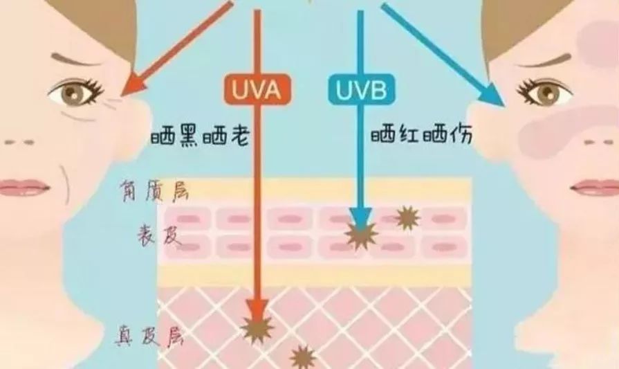 防晒渔夫帽到底多好用？遮挡99的紫外线，难怪大S上节目都要戴