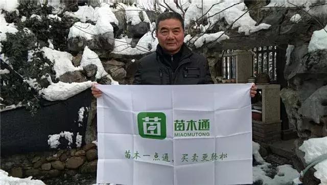 「苗木通新晋会员」湖州陈春耕：细节具体、价格适中、售后保障