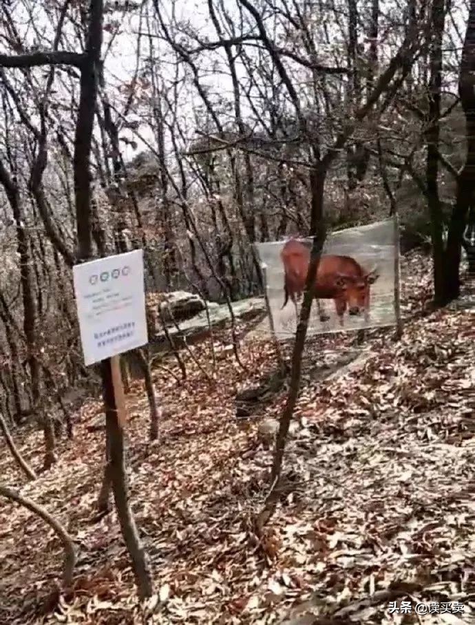 怎么判断男生直不直男,如何判断一个男生直不直