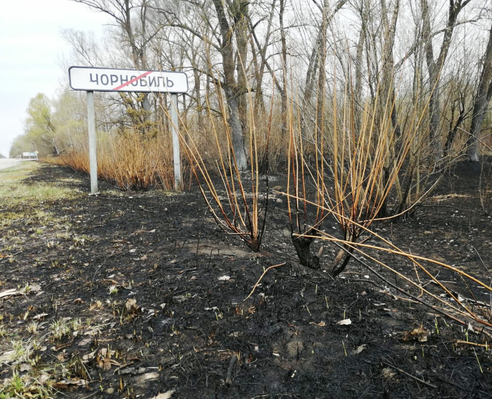 乌克兰切尔诺贝利爆炸,切尔诺贝利大火危险吗