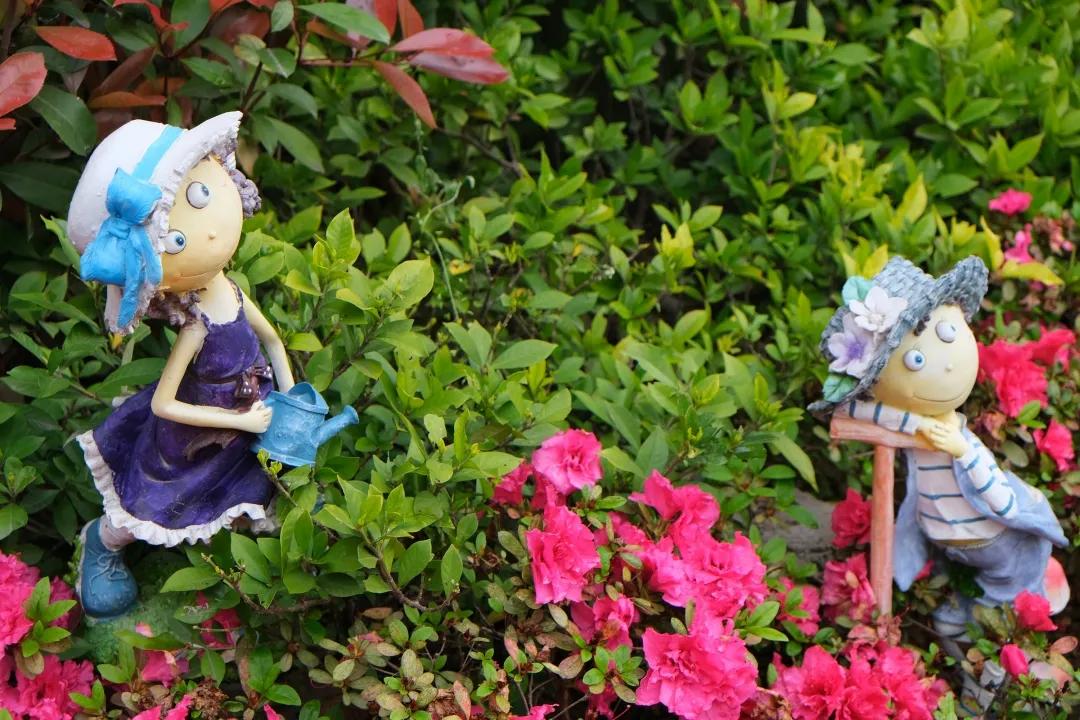 厚植底色行致远砥砺奋进谱新篇——合肥市铜陵新村幼儿园迎评估