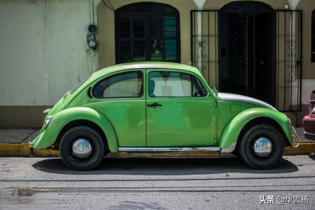 在这里你可以看到绚烂多彩的甲壳虫，因为他们是这里的精灵