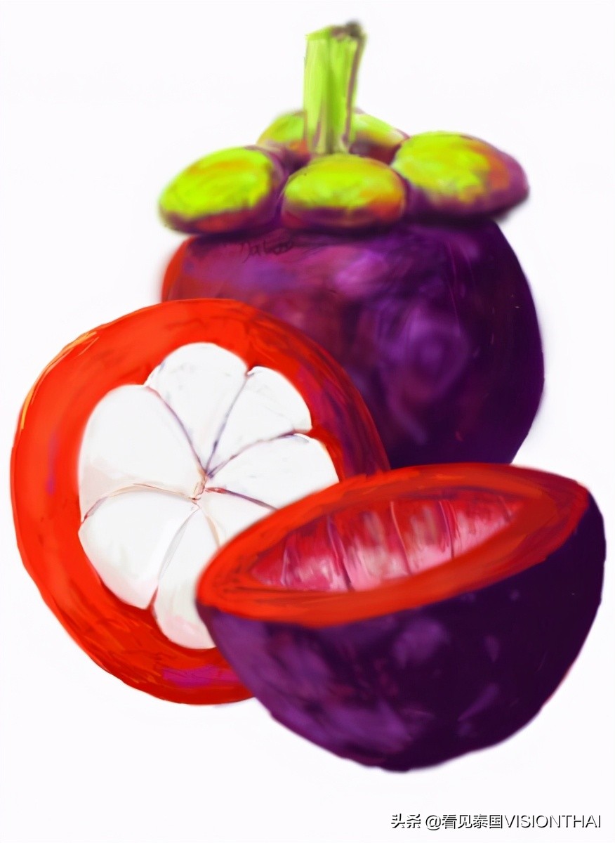 泰国榴莲和山竹果园,泰国水果山竹芒果