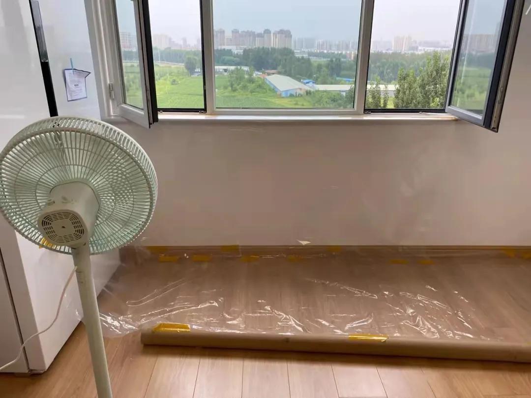 低成本高效除甲醛方法,各种除甲醛方法大pk