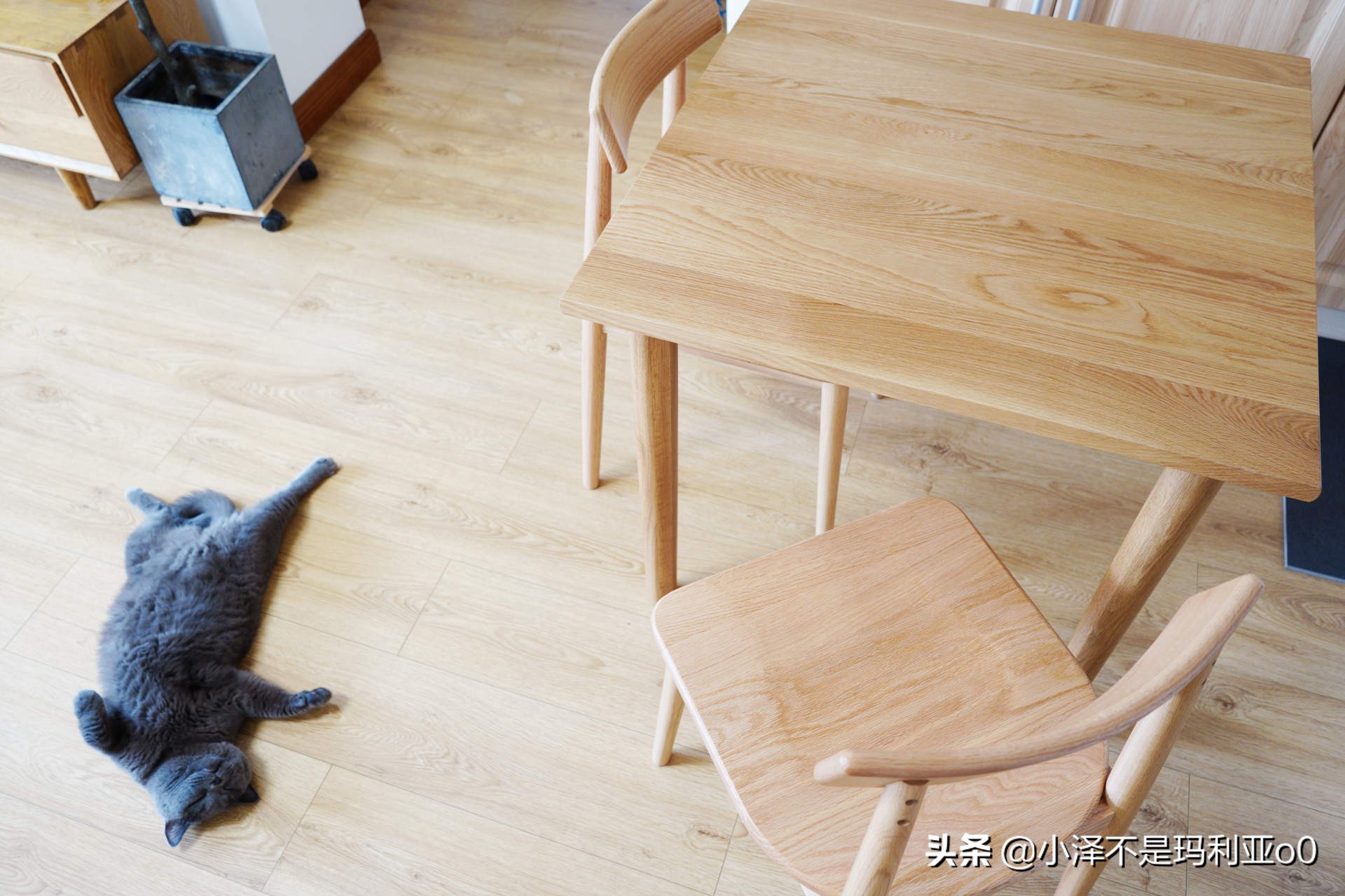 实木家具日常保养方法有哪些种类,家具科普实木家具保养之道