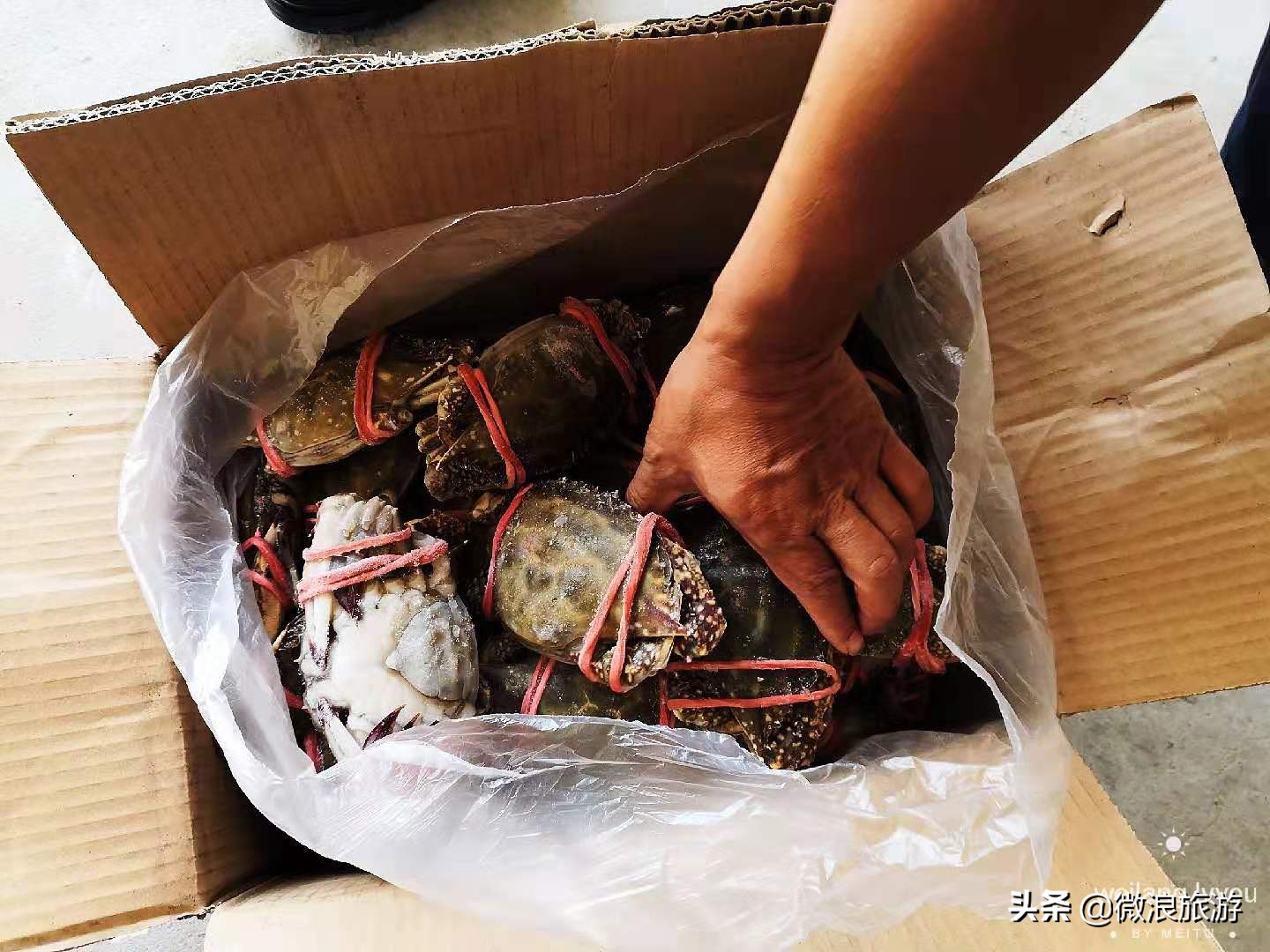 “死螃蟹”上餐桌，被一抢而光，渔家乐老板道出了一个秘诀