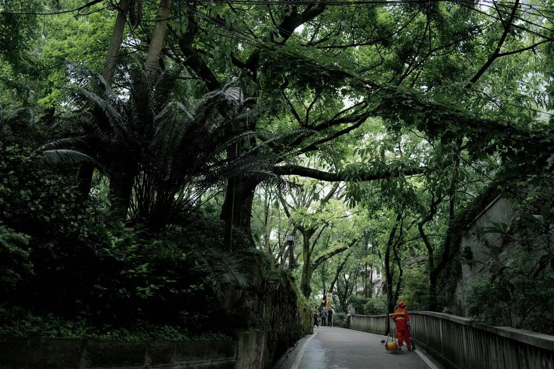 重庆哪几个月不适合旅游,重庆到底值不值得去旅游