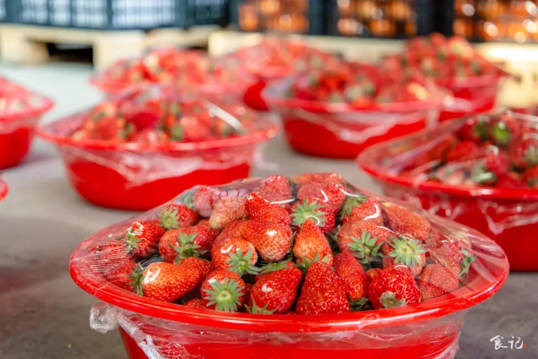 襄阳四季青水果批发市场位置,襄阳最大水果交易市场