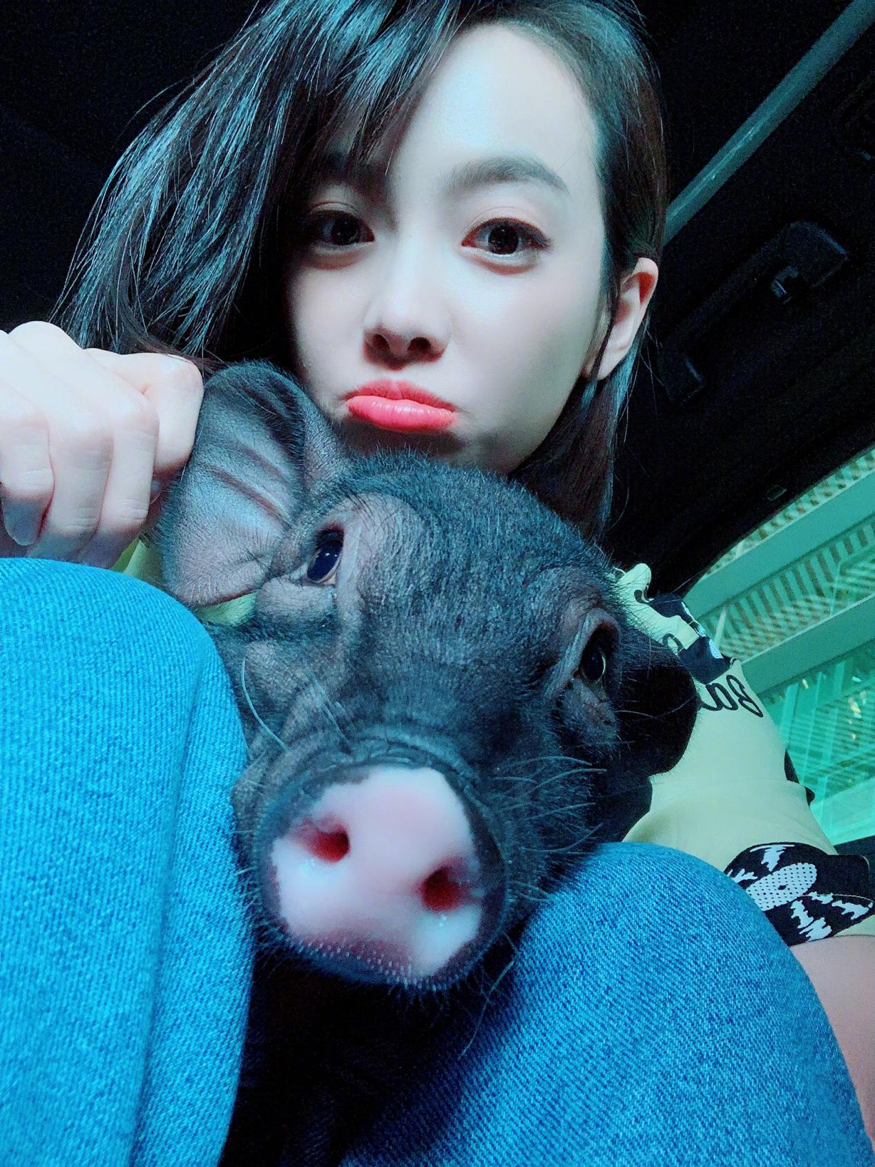 狗生巅峰！陈伟霆家狗狗被抱着睡住湖景豪宅，宋茜家宠物猪更时髦