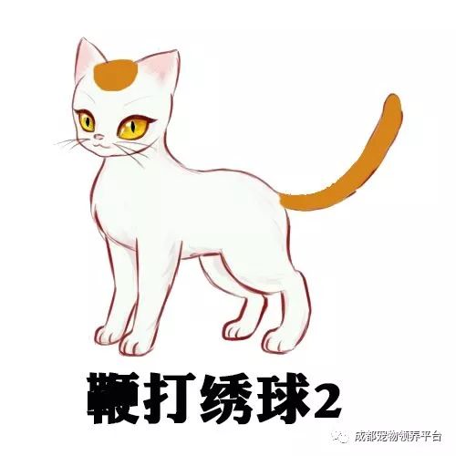 谁说土猫无名猫？快来围观古代猫谱，你家有没有镇宅神兽！