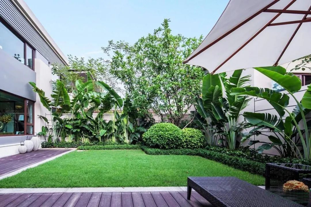 精心饲养的花草,精心呵护花草的收获和感受