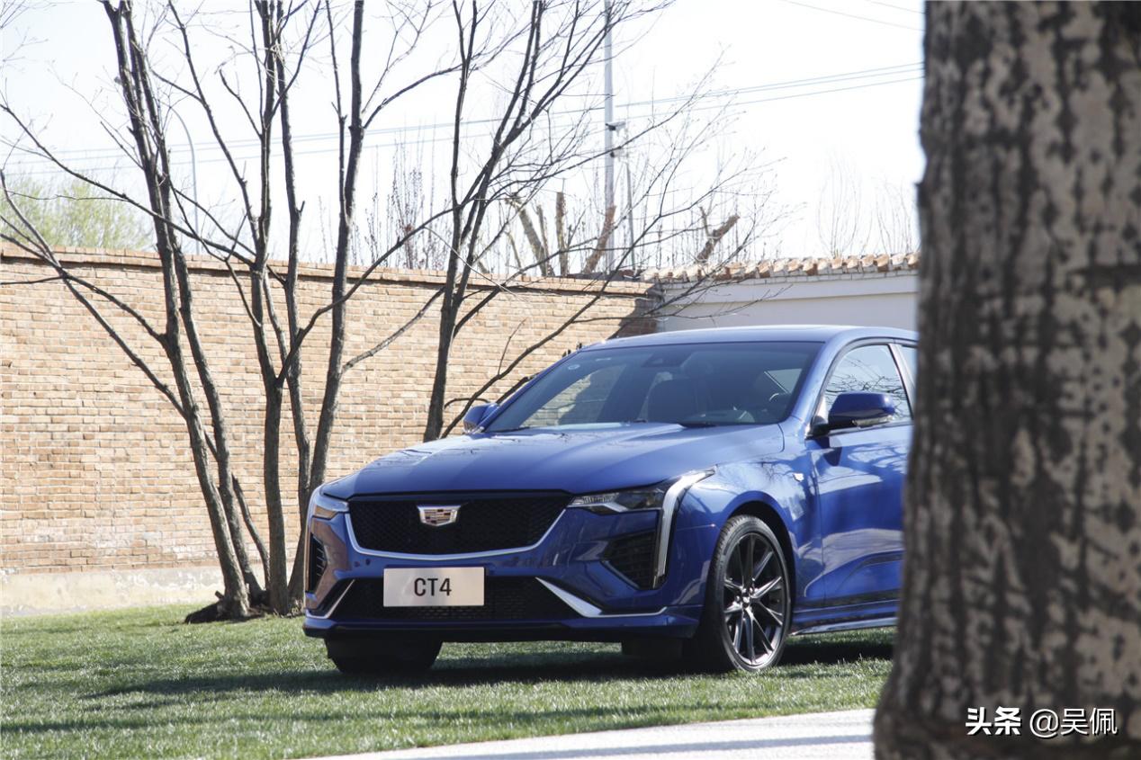 要是没有一颗纯粹的玩心，那还是离她远点吧