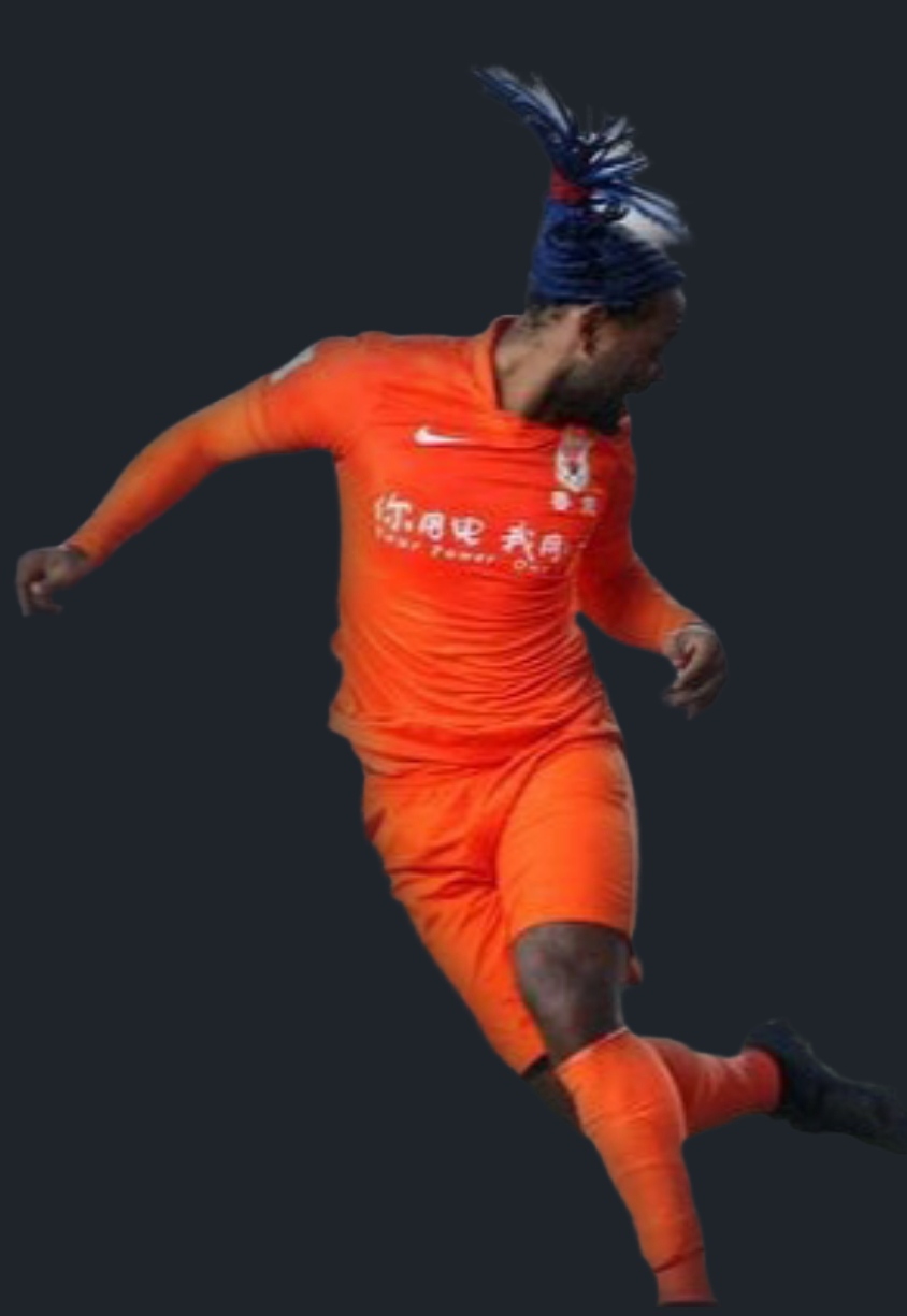 瓦格纳洛维2007美洲杯,山东鲁能外援洛维全名