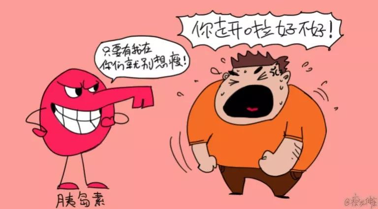 关于治疗糖尿病的一些知识,这么多治糖尿病的方子是真是假