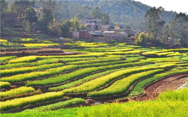 瞧！这花花世界谁不爱