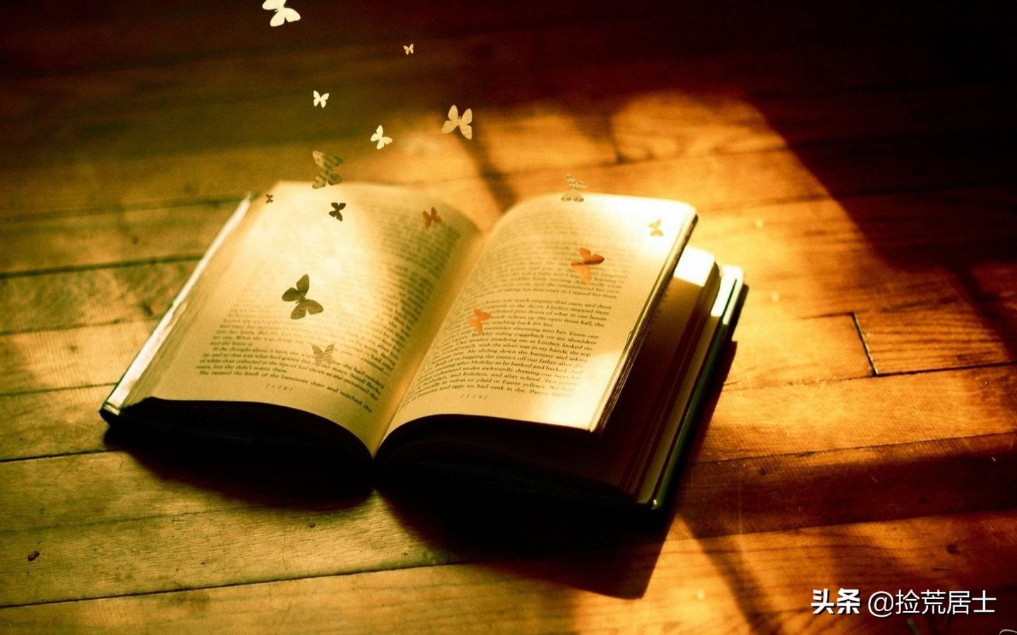 朗读者告别摘抄,朗读者告别曹文轩