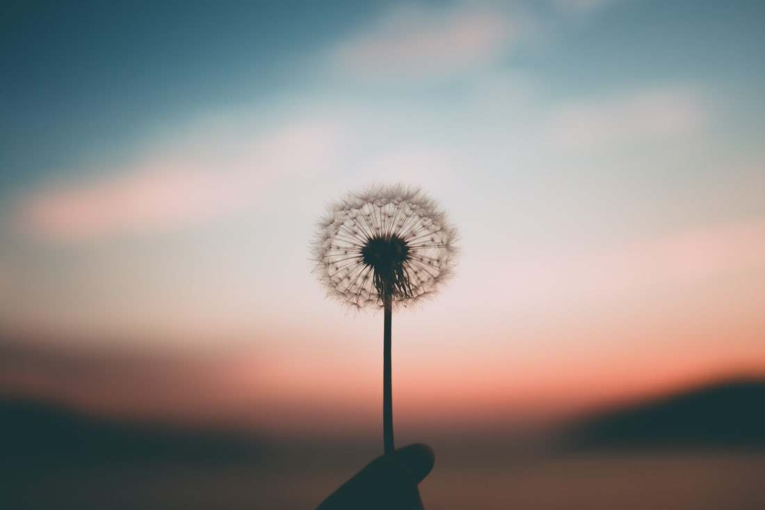 讨厌自己怎么缓解,怎么缓解讨厌自己的情绪