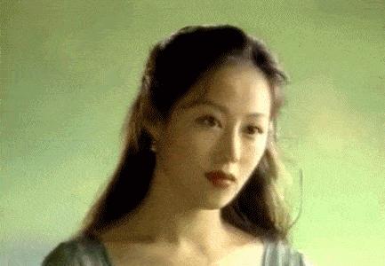 钟镇涛章小蕙背后的故事,章小蕙钟镇涛格局