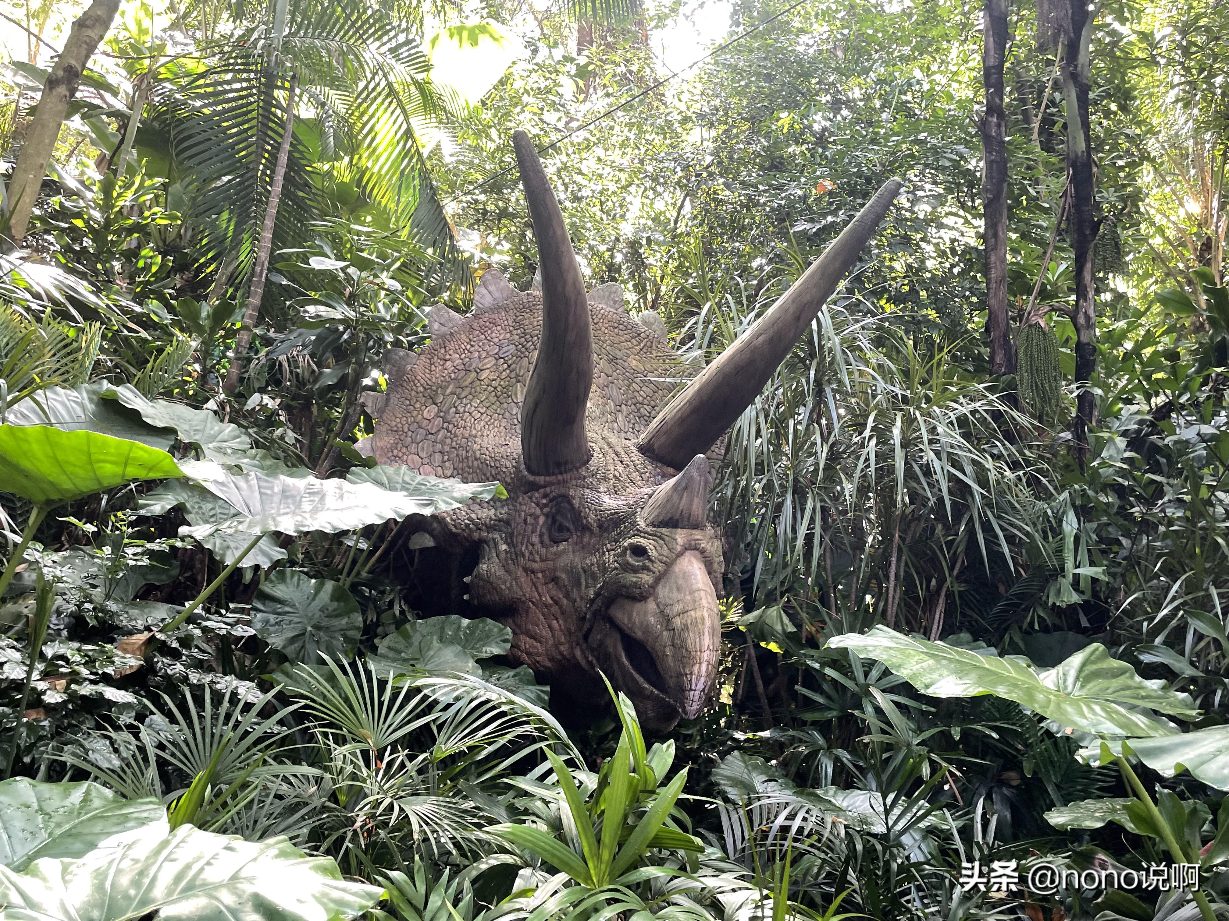 广州长隆野生动物园亲子旅游攻略,11月广州长隆野生动物园游玩攻略