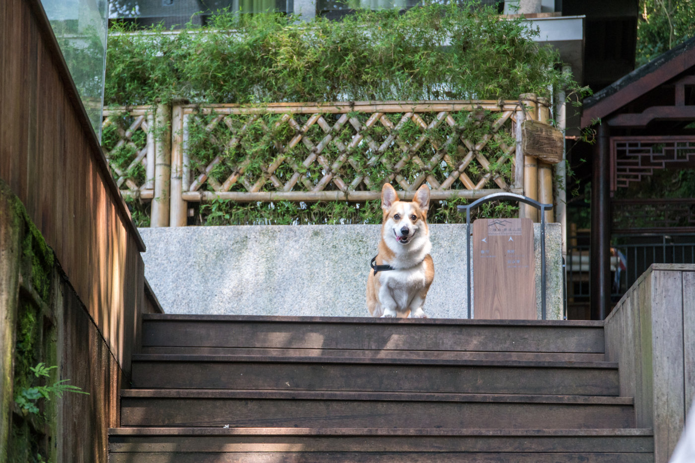 冬天雅致梦溪山庄杭州九溪店,雅致梦溪山庄杭州九溪店