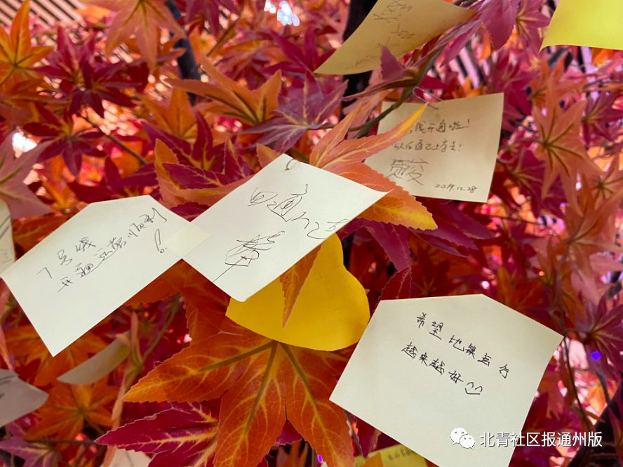 快打卡！副中心两条新地铁线开跑，通州梨园到东三环双井仅40分钟