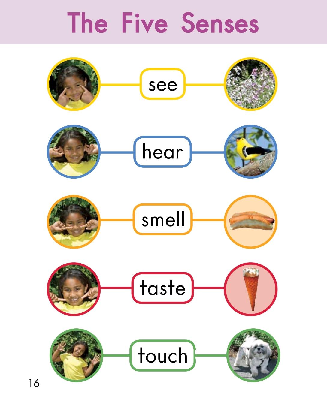 英语绘本故事阅读带汉语,儿童英语绘本点读阅读