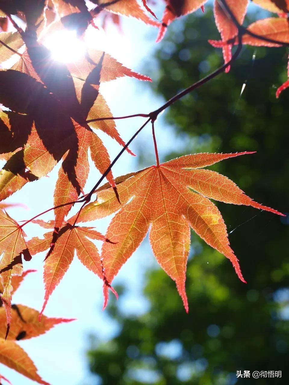 全世界最美50处旅游景点,全球公认世界最美的10个地方